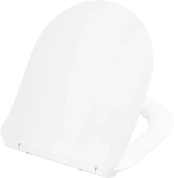 Крышка-сиденье с микролифтом BelBagno Tanto быстросъемная BB2034SC (детальная фотография)