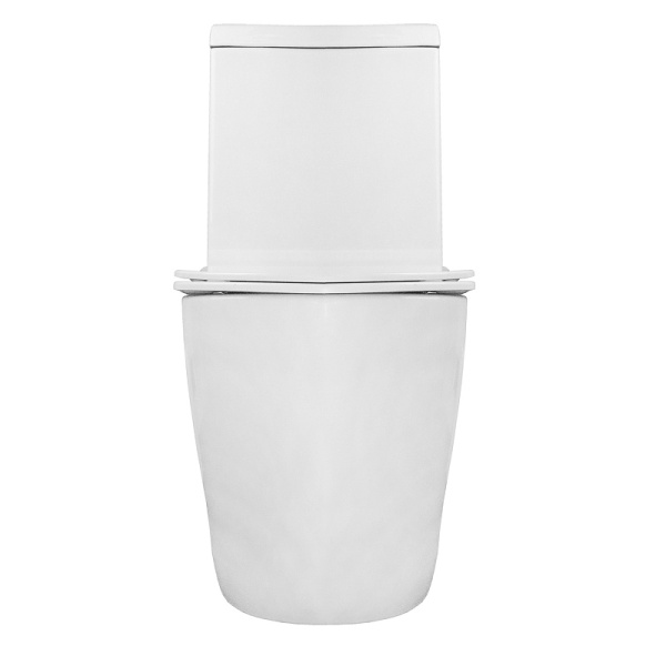 Унитаз моноблок Azario Morano безободковый AZ-1001 (детальная фотография), белые