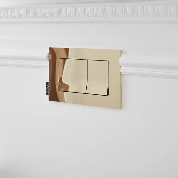 Клавиша смыва Jacob Delafon золото E20858-BGG (детальная фотография), слив эконом-стандарт с двумя клавишами