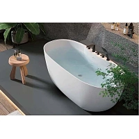 Ванна акриловая Акватек Аполо 170х80 см отдельностоящая