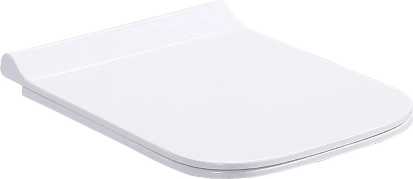 Крышка-сидение BelBagno Dory из дюропласта с микролифтом BB2138SC (детальная фотография)