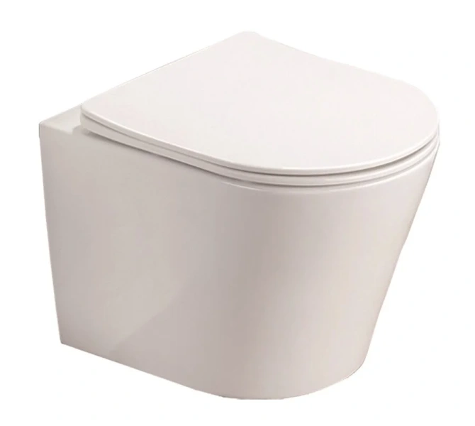 Унитаз подвесной Azario Teramo безободковый AZ-0053 SP (детальная фотография)