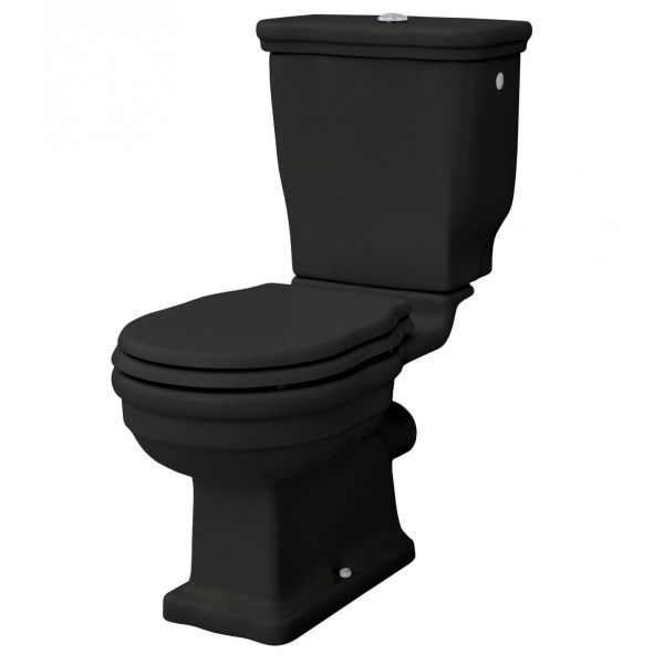 Унитаз компакт ArtCeram Hermitage HEV00 круглый (детальная фотография), с бачком