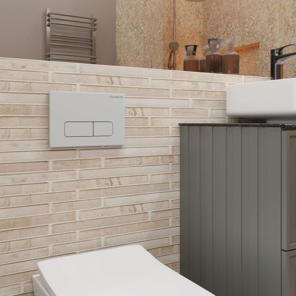 Клавиша смыва Charus Elegia хром матовый FP.320.46.01 (детальная фотография), в наличии