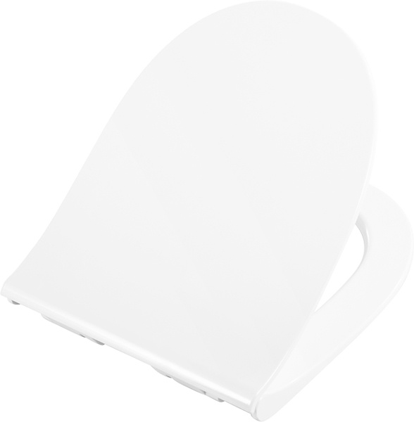 Крышка-сидение с микролифтом BelBagno Steam дюропласт BB130SC (детальная фотография)