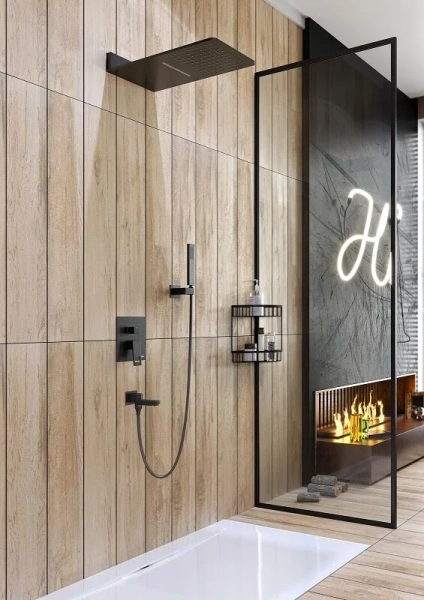 Душевой комплект Timo Briana черный SX-7119/03SM (детальная фотография), черные