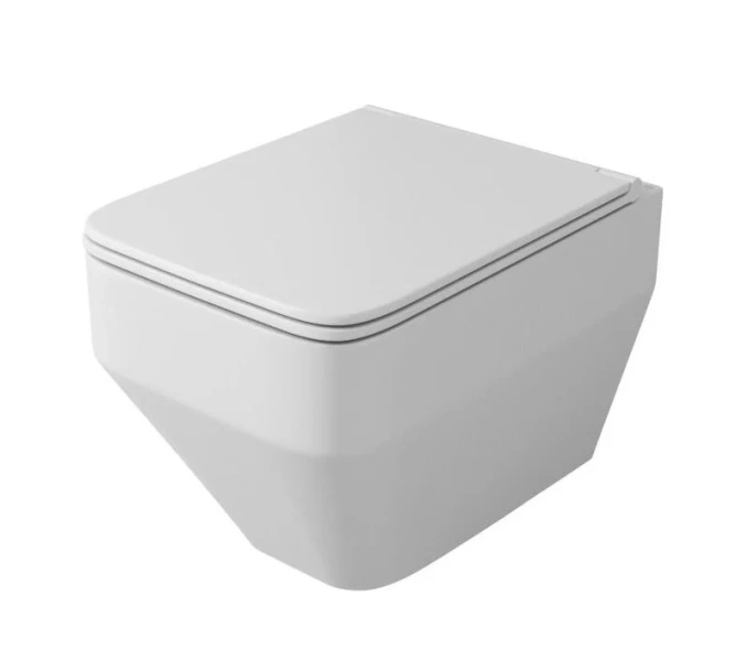 Унитаз подвесной OWL 1975 Eld Ruta-H с сиденьем DP микролифт OWLT190601 (детальная фотография)