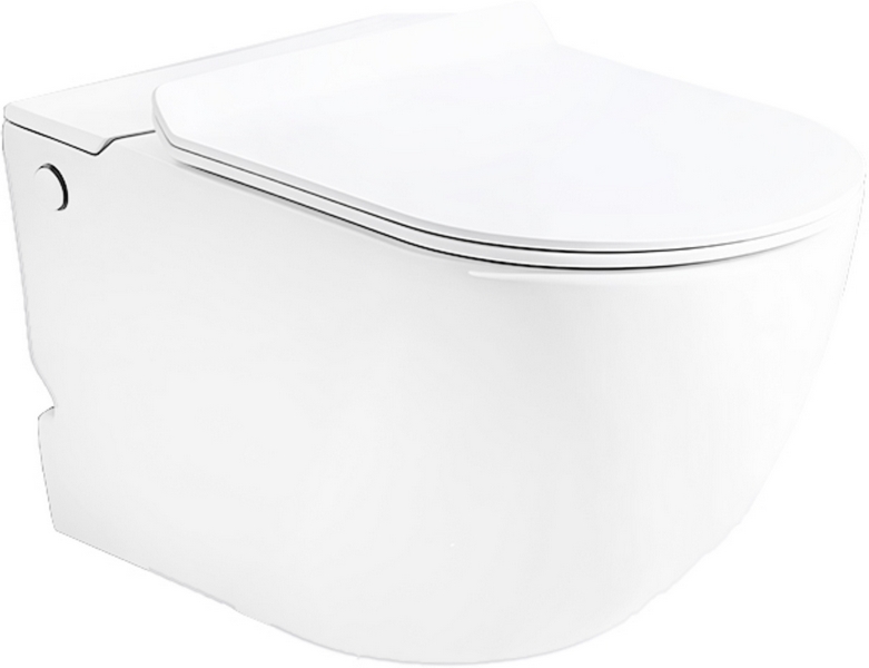 Унитаз подвесной Ceruttispa Barbaria с функцией импульсного смыва CT10591 (детальная фотография)