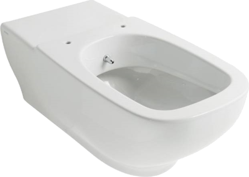 Унитаз-биде подвесной, слив 4,5/3 л, Globo Argento GEBO4.BI (детальная фотография)