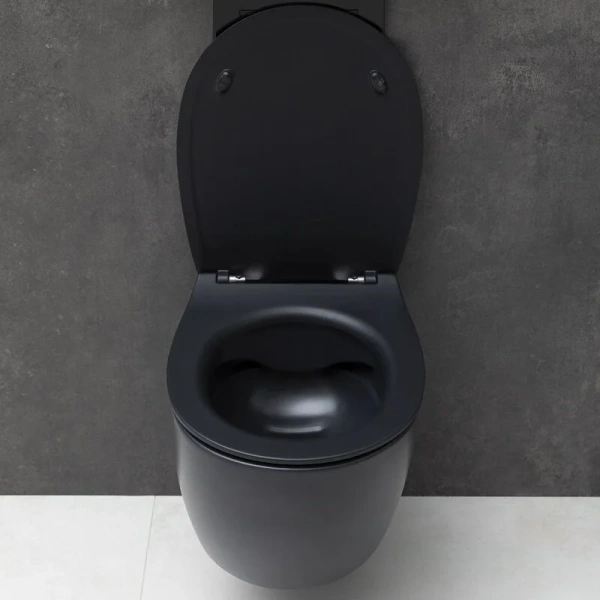 Унитаз подвесной Allen Brau Fantasy черный 4.11004.31 (детальная фотография), в наличии