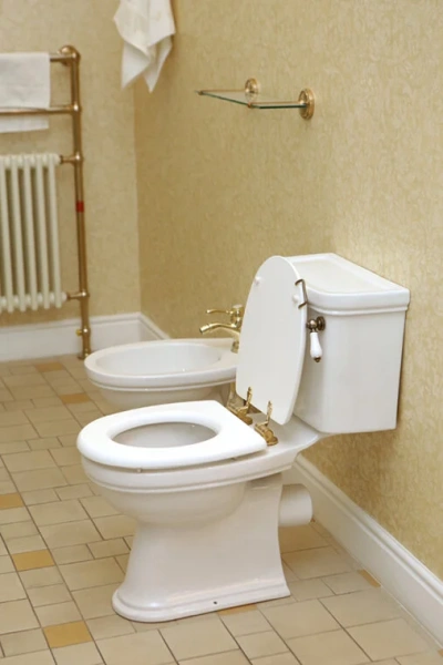 Унитаз компакт Devon & Devon Rose IBWCROSE круглый (детальная фотография), с бачком