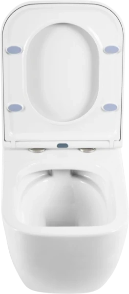 Крышка-сиденье с микролифтом BelBagno Alpina быстросъемная BB309SC (детальная фотография), с микролифтом index_1