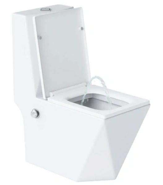 Унитаз моноблок Laguraty с функцией биде 071AC (детальная фотография)