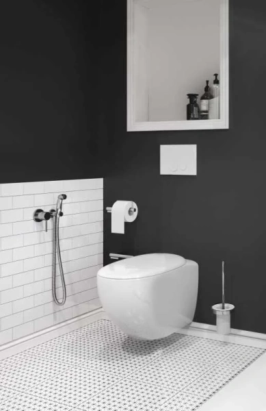 Гигиенический душ с смесителем Kludi Bozz 389990576 (детальная фотография), для туалета