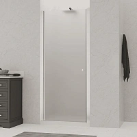 Душевая дверь в нишу RGW Dolphin TN-03 60 см профиль хром, стекло Fabrik