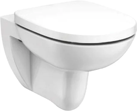 Унитаз с инсталляцией Roca Debba Round Pack подвесной 893104980 (детальная фотография), с инсталляцией