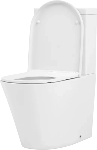 Унитаз компакт Lavinia Boho Biore безободковый 3304001R (детальная фотография), по запросу