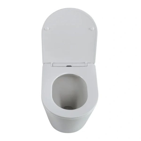 Унитаз напольный BelBagno Flay-R белый BB1003CBR/SC (детальная фотография), белые