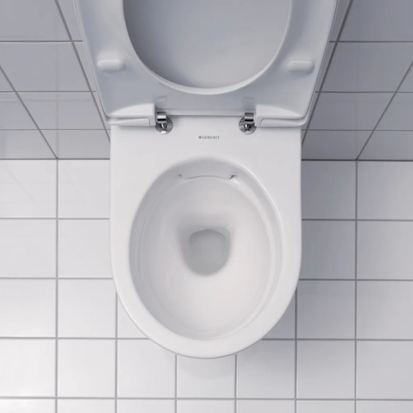 Унитаз с инсталляцией Geberit Renova с клавишей 500.103.DW.R (детальная фотография) index_1