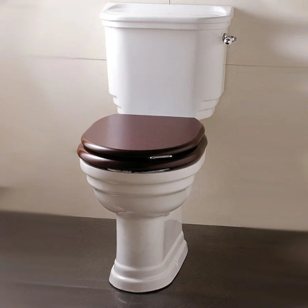 Унитаз под бачок Devon&Devon Classica IBWCCL (детальная фотография), унитаз-компакт