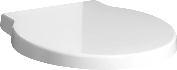 Крышка-сиденье BelBagno Sabrina с микролифтом BB122SC (детальная фотография)