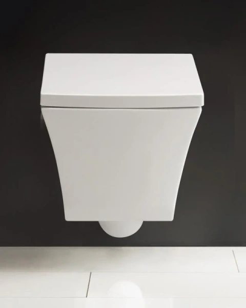 Крышка-сидение BelBagno Regina быстросъемная с микролифтом BB104SC (детальная фотография), в наличии