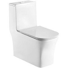 Унитаз моноблок WeltWasser Glanbach с сиденьем микролифт