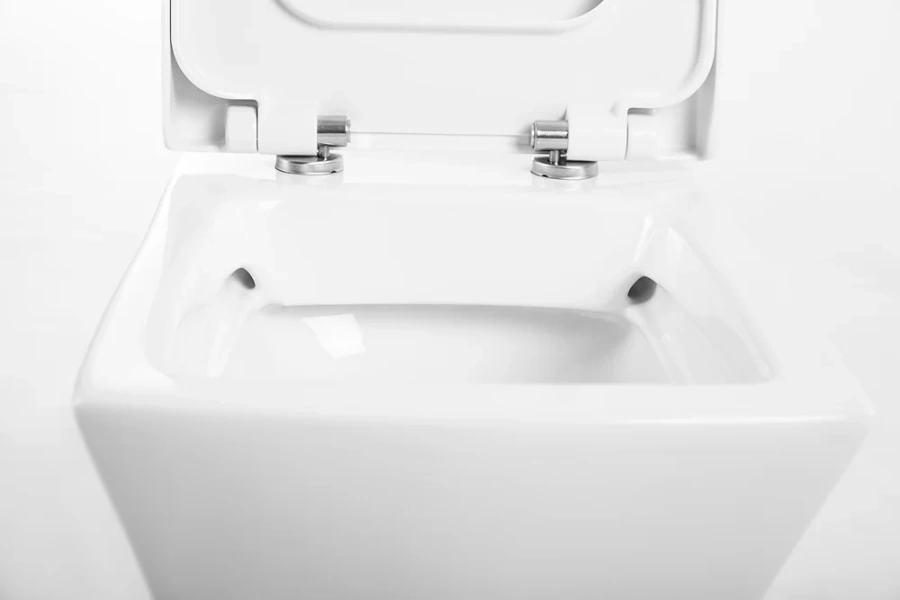 Крышка-сидение BelBagno Regina быстросъемная с микролифтом BB104SC (детальная фотография) index_1