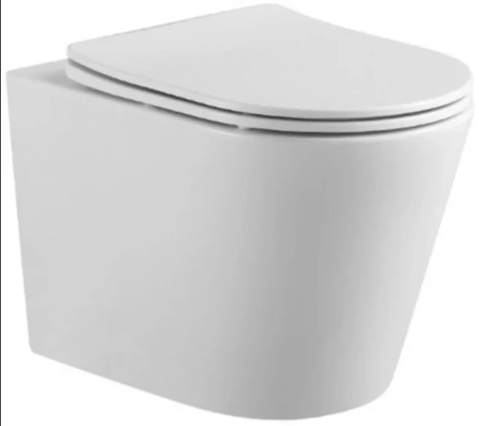 Унитаз подвесной Акватек Вега безободковый AQ1904-00 (детальная фотография)