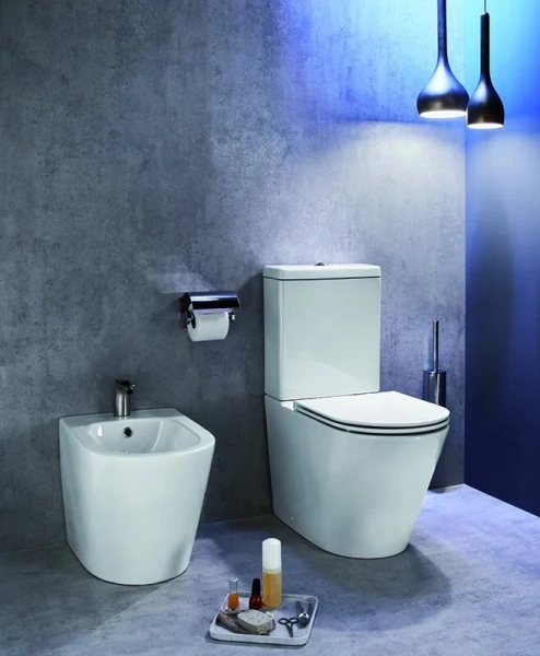 Биде напольное Jacob Delafon Rodin+ белое EBJ0002-00 (детальная фотография), круглой формы