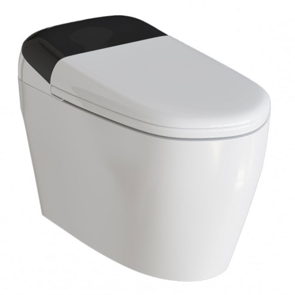 Унитаз напольный RGW SW-30 с функцией биде 63420130-01 (детальная фотография)