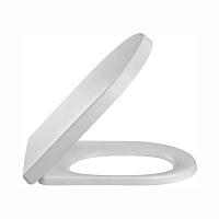 Крышка-сиденье Jacob Delafon Rodin с микролифтом