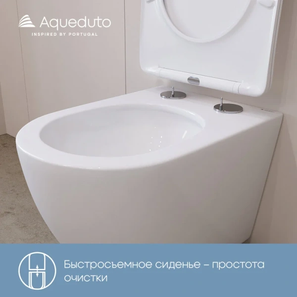 Унитаз подвесной Aqueduto Ovo Plus белый матовый OVOT0220 (детальная фотография), безободковые, сиденье с микролифтом , с антивсплеском