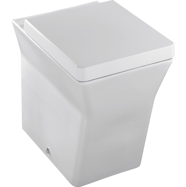 Унитаз напольный Jacob Delafon Reve с сиденьем микролифт E4813-00 (детальная фотография)