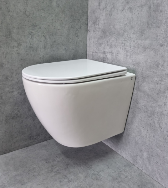 Унитаз подвесной Ceramalux N белый TR2196 (детальная фотография), без бачка, со скрытым бачком