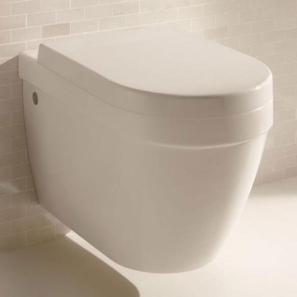 Унитаз подвесной Jacob Delafon Rodin EDC102-00 (детальная фотография), подвесные, встраиваемые