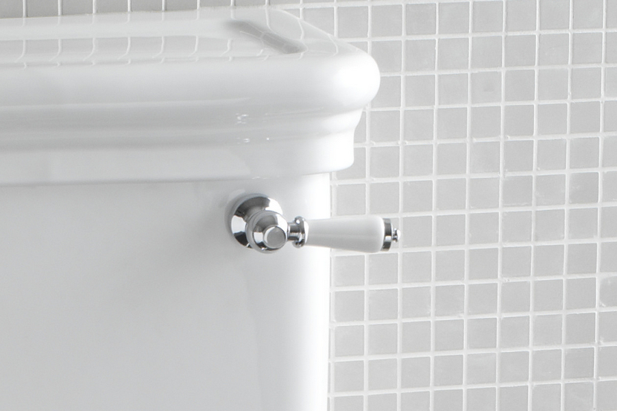 Ручка управления слива бачка Devon & Devon хром IBLEVADX/CR (детальная фотография), в наличии