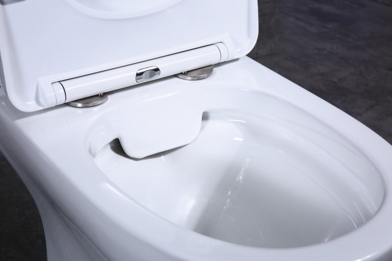 Унитаз компакт BelBagno Steam без бачка BB130CPR/SC (детальная фотография), безободковые, сиденье с микролифтом , с антивсплеском, компакт, низкие