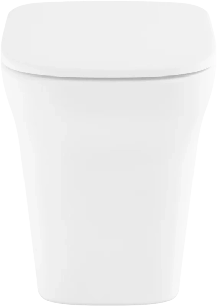 Унитаз напольный Lavinia Boho Bristol с сиденьем микролифт 33050030 (детальная фотография), белые