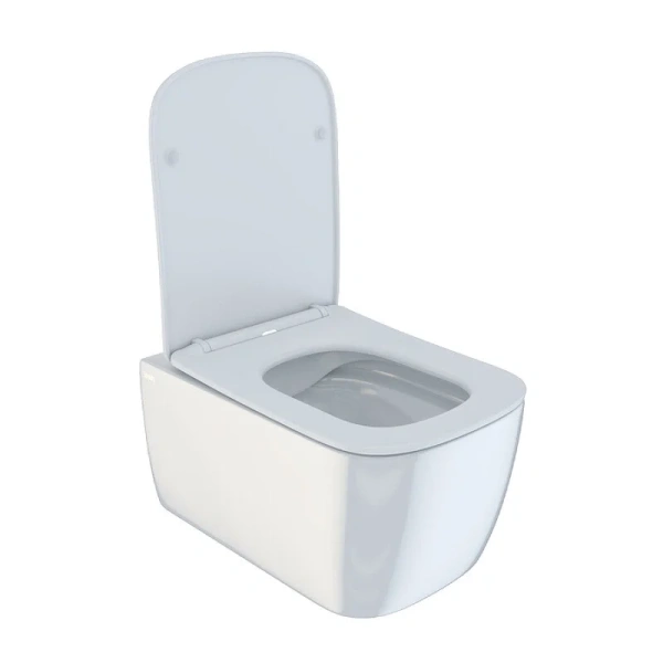 Унитаз подвесной IDDIS Bridge безободковый BRIRDSEi25 (детальная фотография), фарфор, керамика