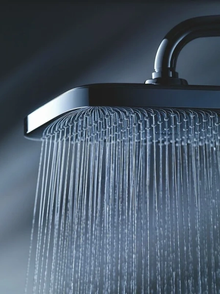 Верхний душ Grohe Tempesta хром 26688000 (детальная фотография), в наличии