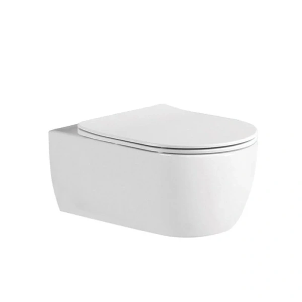 Унитаз подвесной Акватек Европа безободковый AQ1106L-00 (детальная фотография)