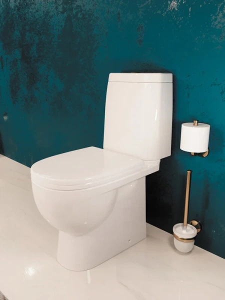 Унитаз компакт Sanita Luxe Fest с сиденьем микролифт WC.CC/Fest/2-DM/WHT.G/S1 (детальная фотография), недорогие, сиденье с микролифтом , с антивсплеском, компакт, низкие