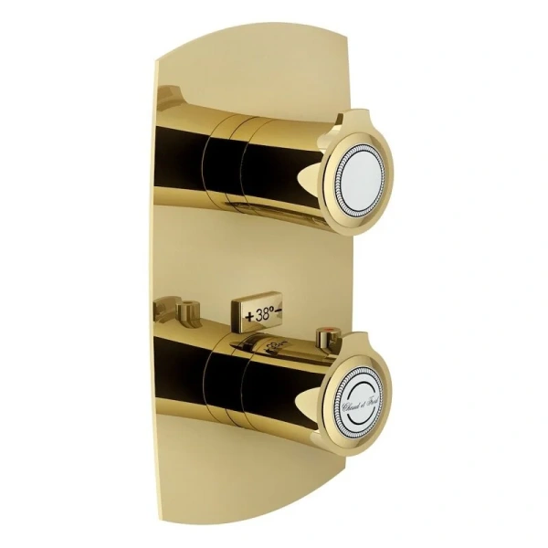 Смеситель для душа Nobili Sofi SI98102GDP термостатический (детальная фотография)