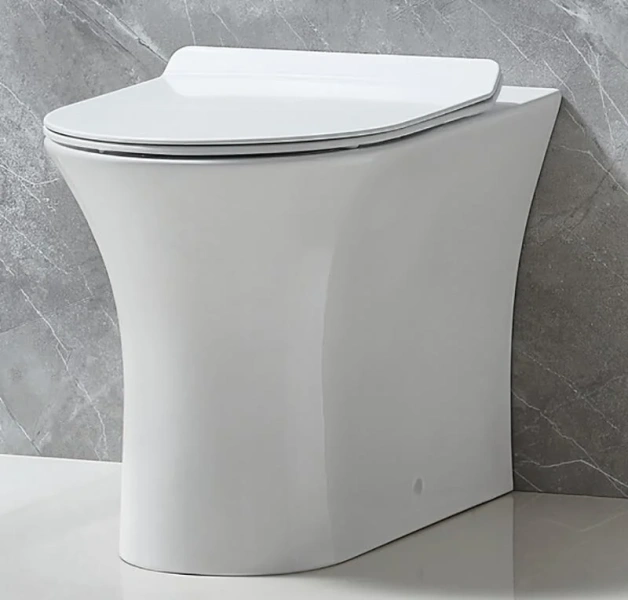 Унитаз напольный BelBagno Ancona безободковый BB1224CBR-P (детальная фотография)