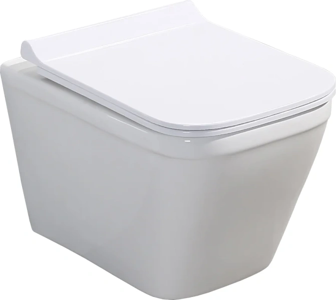 Крышка-сидение BelBagno Dory из дюропласта с микролифтом BB2138SC (детальная фотография) index_2