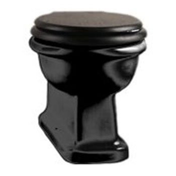 Унитаз напольный Devon&Devon Etoile IBWCETBTW (детальная фотография), без бачка, со скрытым бачком