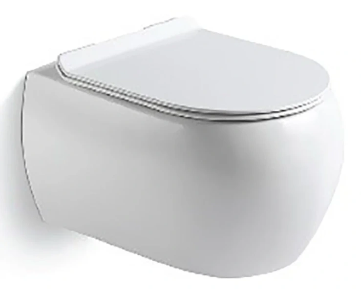 Унитаз подвесной Black&White Universe без ободка 727W00 (детальная фотография)