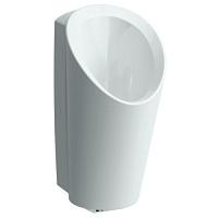 Писсуар безводный с мухой Laufen Lema