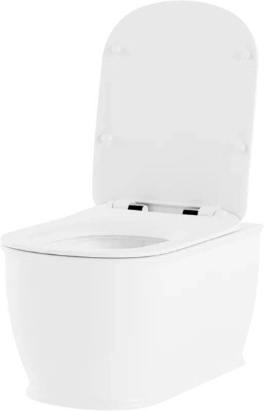 Унитаз подвесной Lavinia Boho Bell Pro безободковый 3301002R (детальная фотография), подвесные, встраиваемые index_1